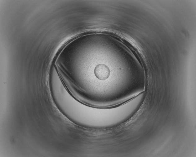 X0000112981334200909101706