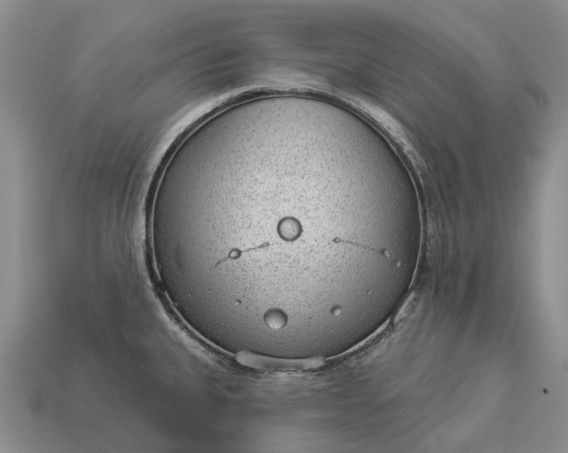 X0000112981335200909101706