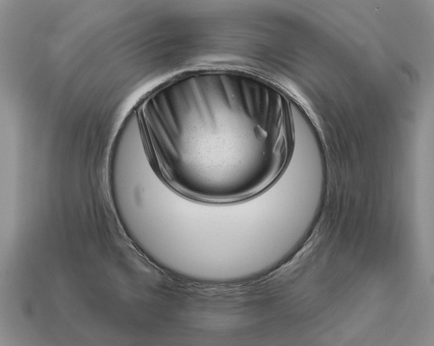 X0000112981336200909101706