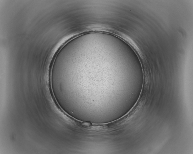 X0000112981339200909101706