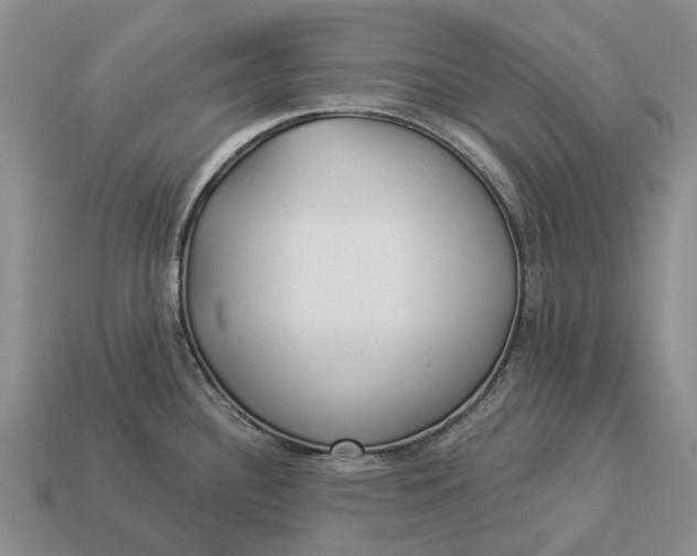 X0000112981340200909101706