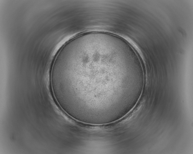 X0000112981341200909101706