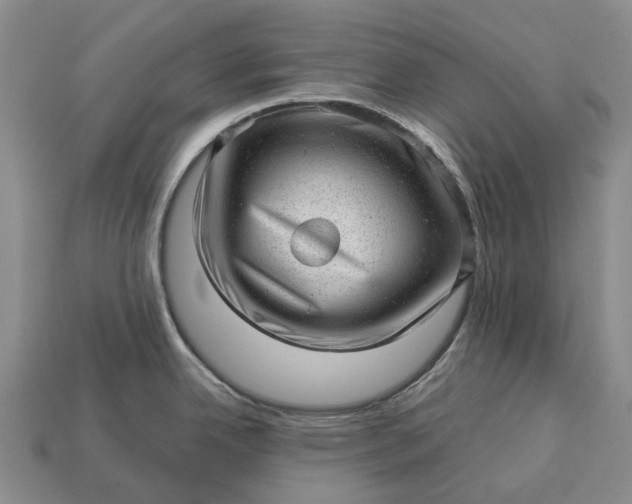 X0000112981342200909101706