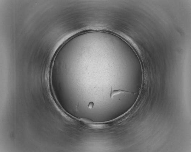 X0000112981343200909101706