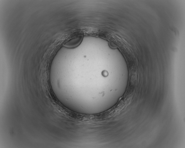 X0000112981345200909101706