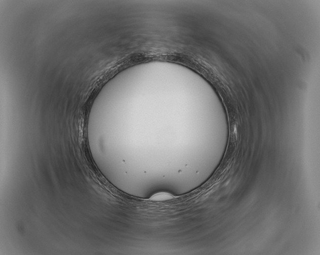 X0000112981348200909101706