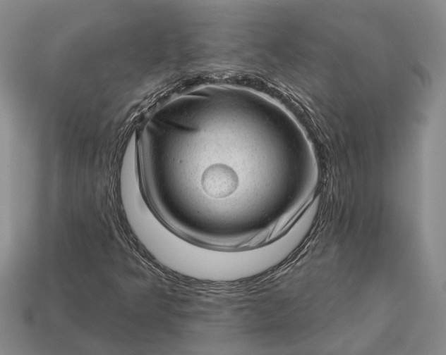 X0000112981349200909101706