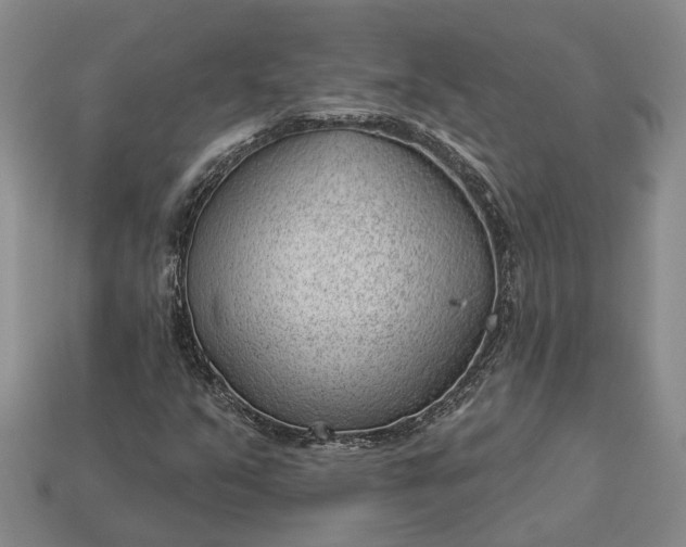 X0000112981351200909101705