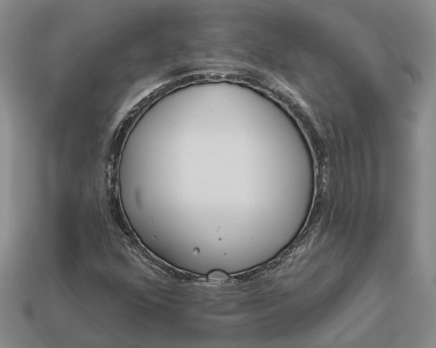 X0000112981352200909101705