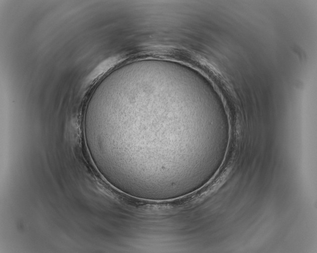 X0000112981354200909101705