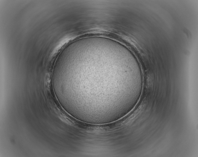 X0000112981355200909101705