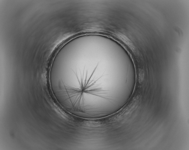 X0000112981356200909101705