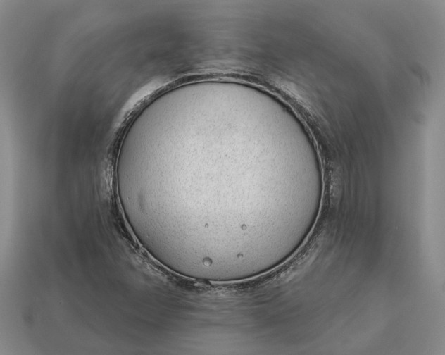 X0000112981358200909101705