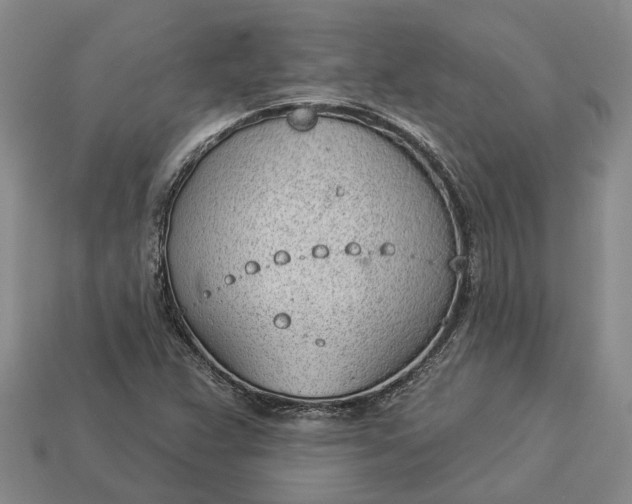 X0000112981359200909101705