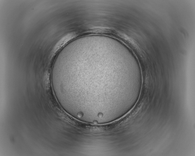 X0000112981362200909101705