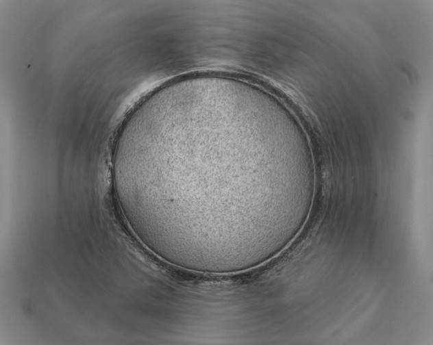 X0000112981363200909101705