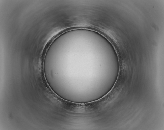 X0000112981364200909101705