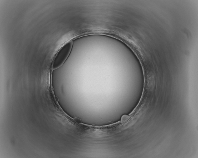 X0000112981365200909101705