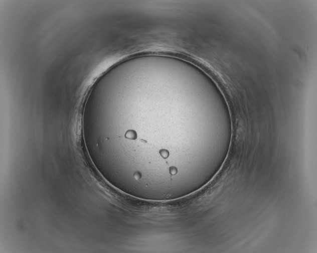 X0000112981367200909101705