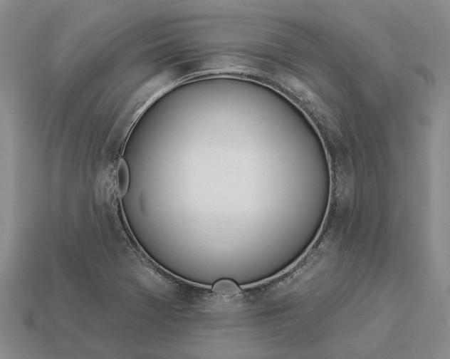 X0000112981369200909101705