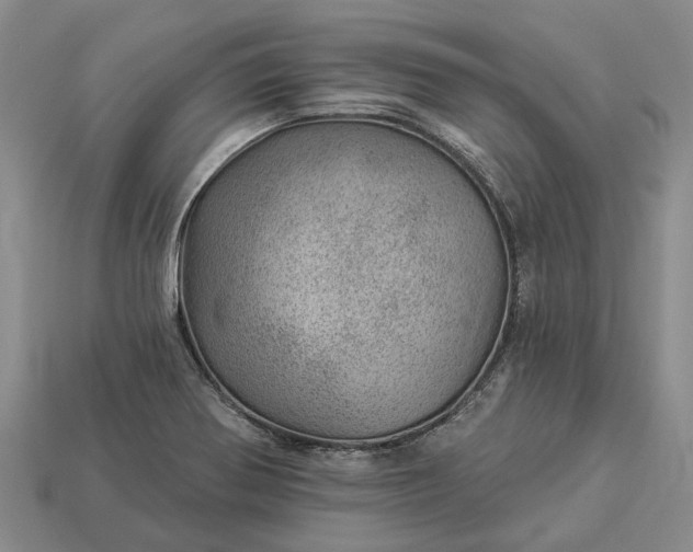 X0000112981370200909101705