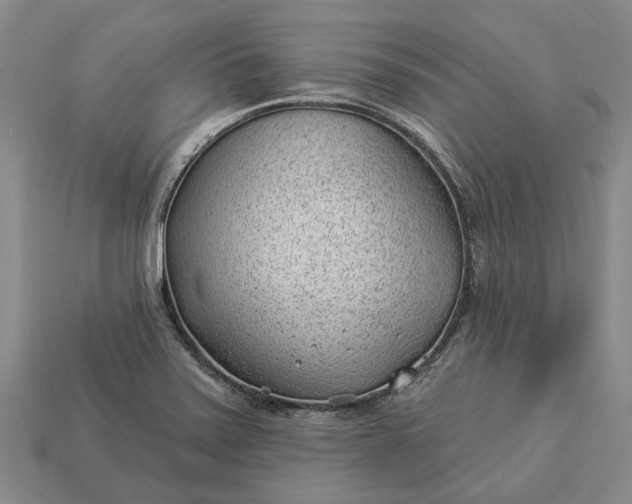 X0000112981371200909101705