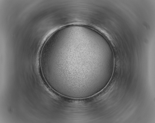 X0000112981375200909101705