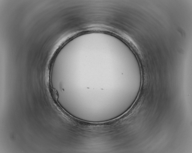 X0000112981376200909101705