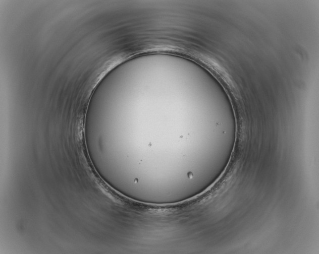 X0000112981377200909101705