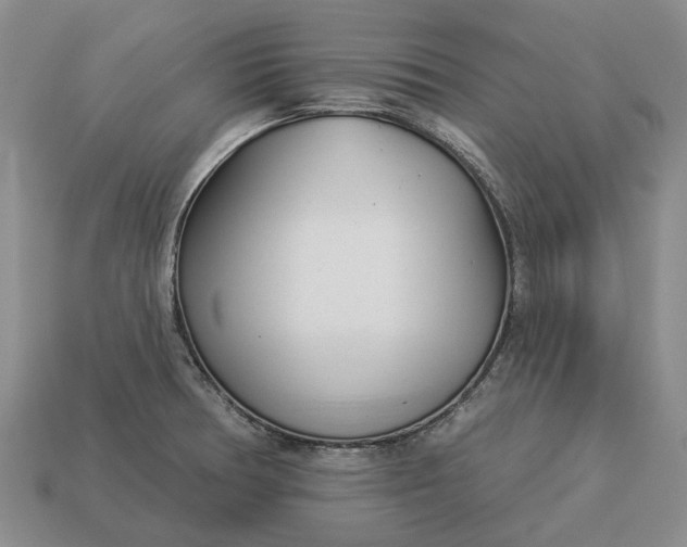 X0000112981378200909101705