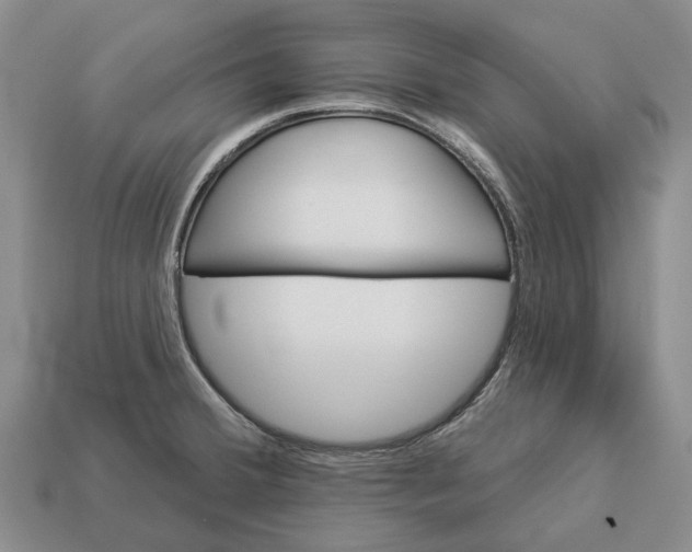 X0000112981380200909101705