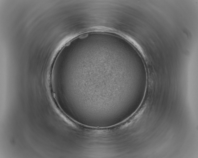 X0000112981381200909101705