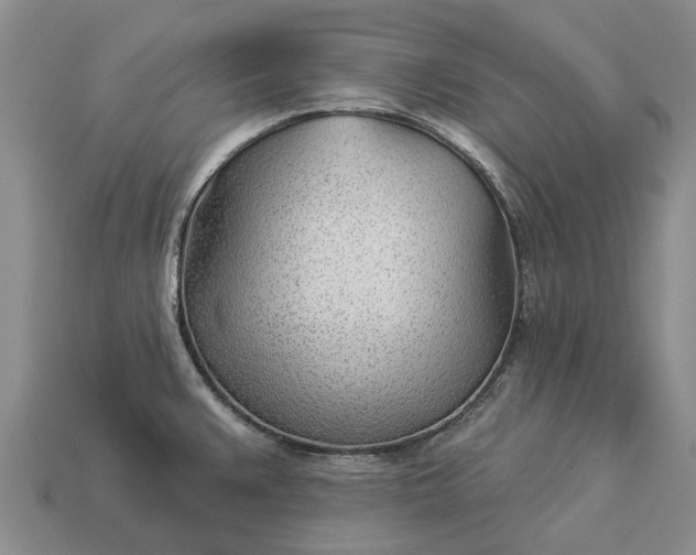 X0000112981383200909101705