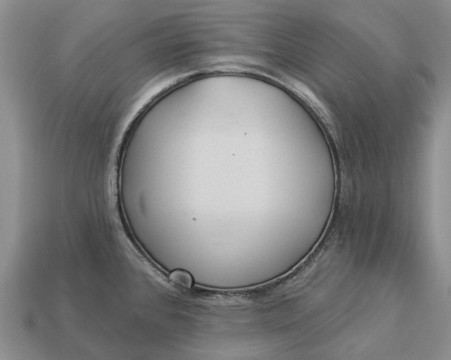 X0000112981384200909101705