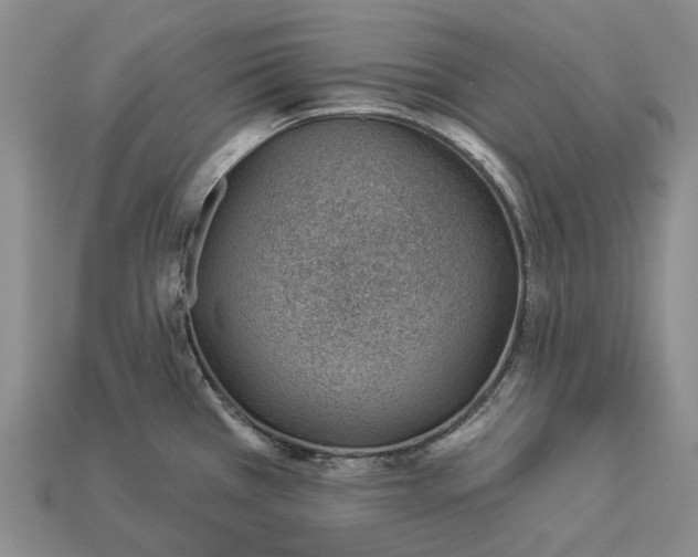 X0000112981385200909101705