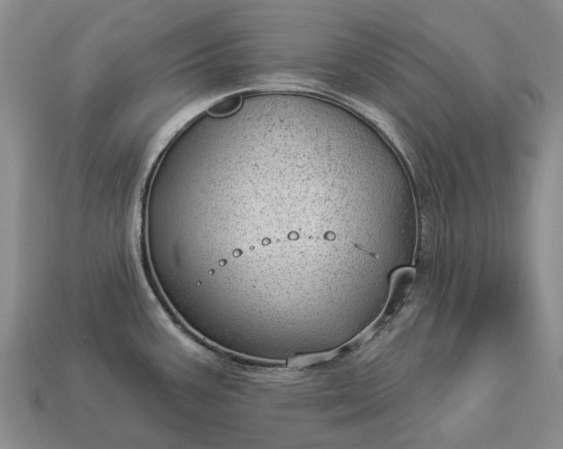 X0000112981387200909101705