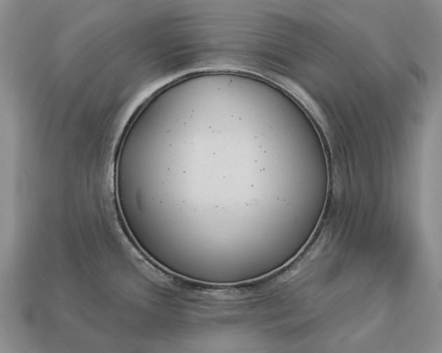 X0000112981388200909101705