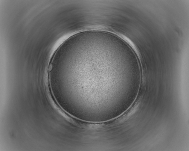 X0000112981389200909101705