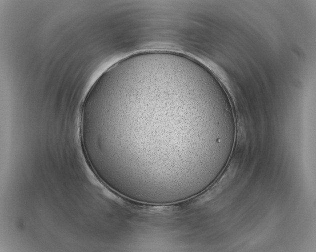 X0000112981390200909101705