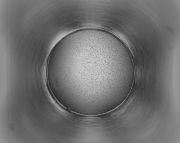 X0000112981391200909101705