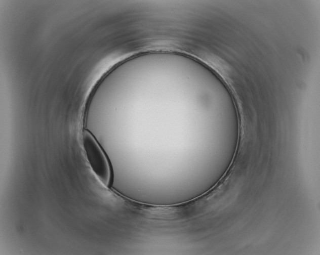 X0000112981392200909101705