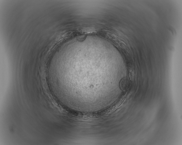 X0000112981393200909101704