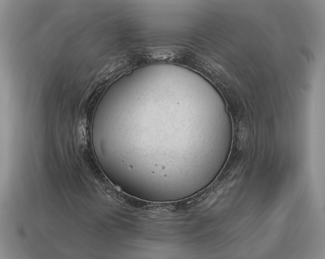 X0000112981394200909101704