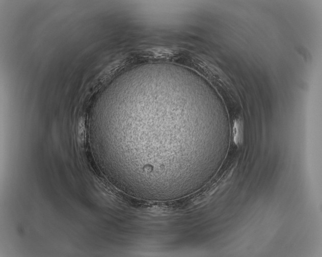 X0000112981395200909101704