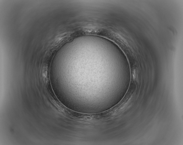 X0000112981396200909101704