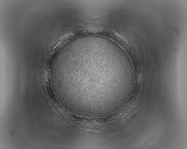 X0000112981397200909101704