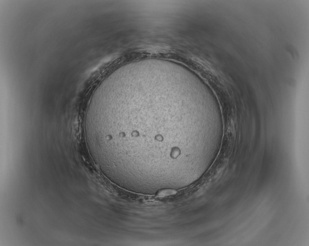 X0000112981398200909101704