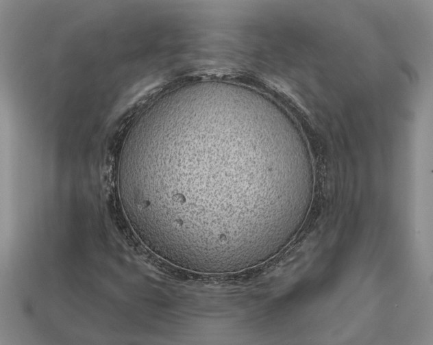 X0000112981399200909101704