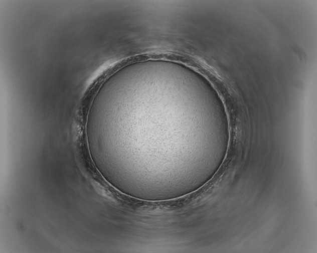 X0000112981400200909101704