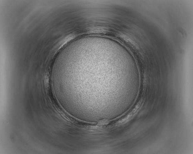 X0000112981401200909101704